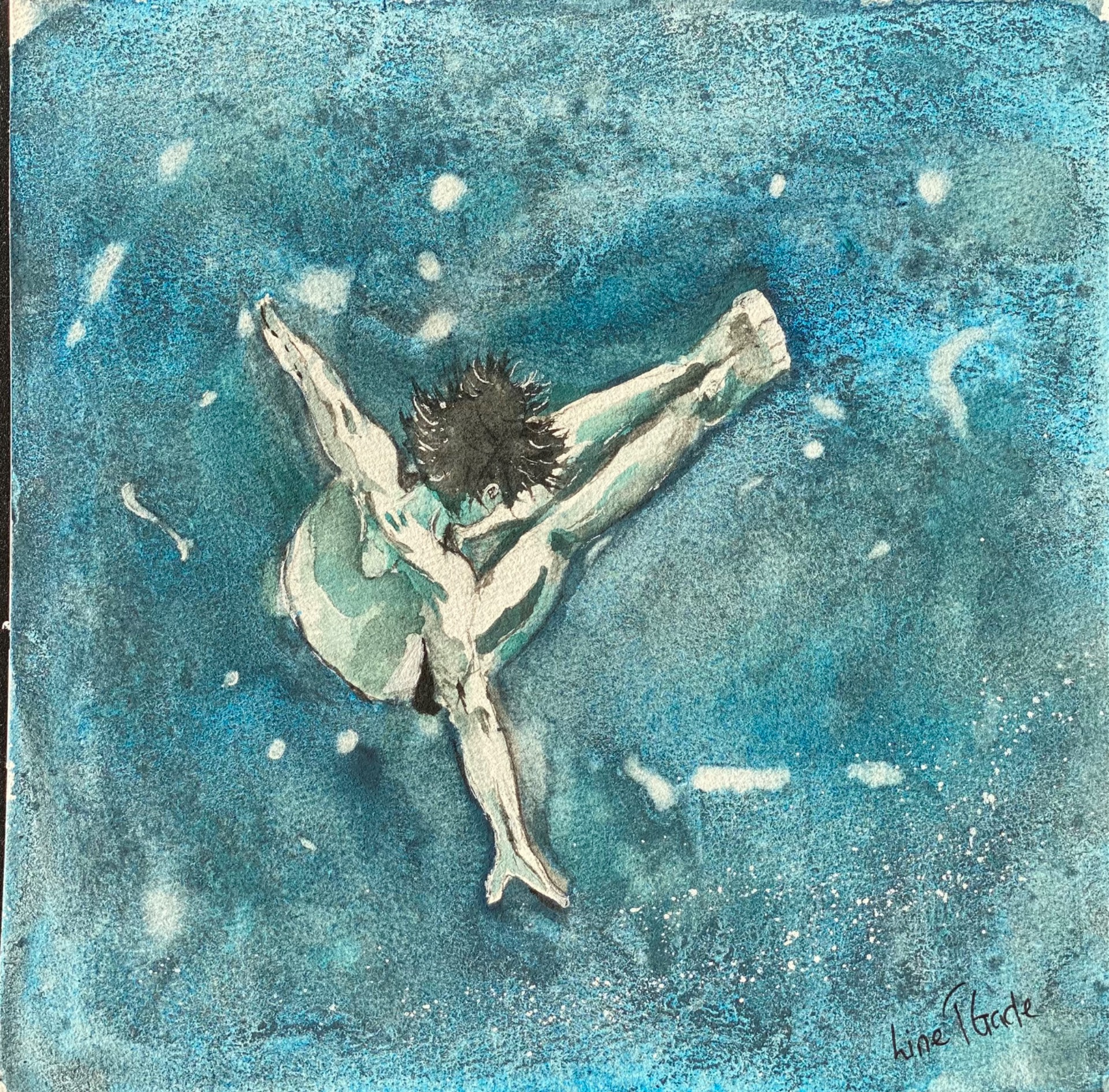 «The perfect dive»